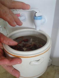 冬虫草清炖鹧鸪的做法步骤9