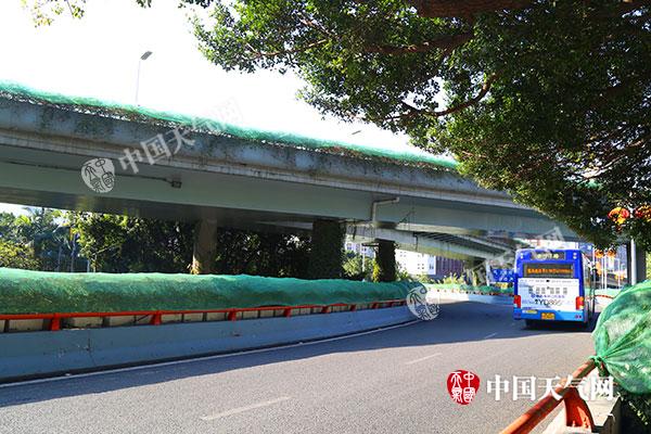今晨福建36县市最低温在冰点以下 未来三天渐回暖