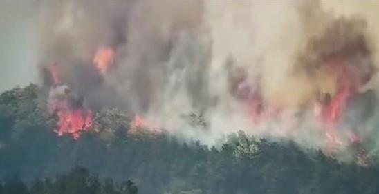 河南新乡一村发生森林火灾 火势已控制无人员伤亡