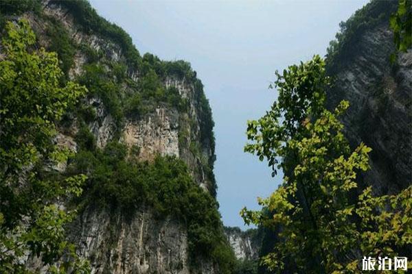 重庆避暑自然生态风景区有哪些 重庆避暑自然生态风景区有哪些
