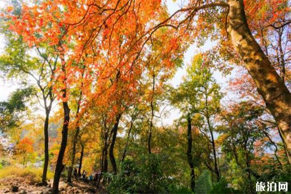 香山一日游路线 附游玩注意事项