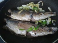 青鱼烧粉条的做法步骤4