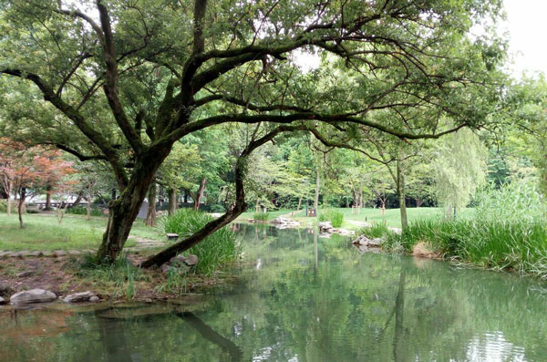 太子湾公园在哪里 太子湾公园怎么去