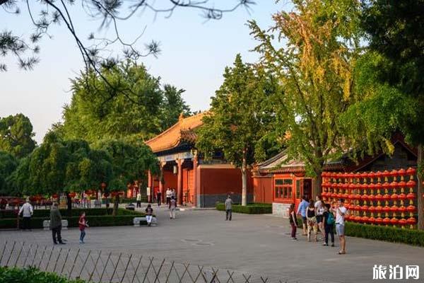 北京哪里可以看故宫全景+介绍