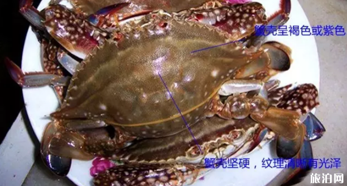 2019渤海湾开海时间 海鲜挑选攻略