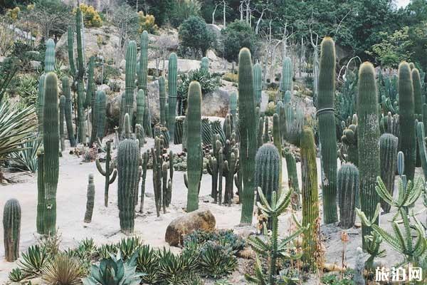 2019厦门园林植物园从哪个门进+讲解服务 2019厦门园林植物园从哪个门进+讲解服务