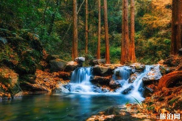 杭州西湖攻略线路（西湖秋景）