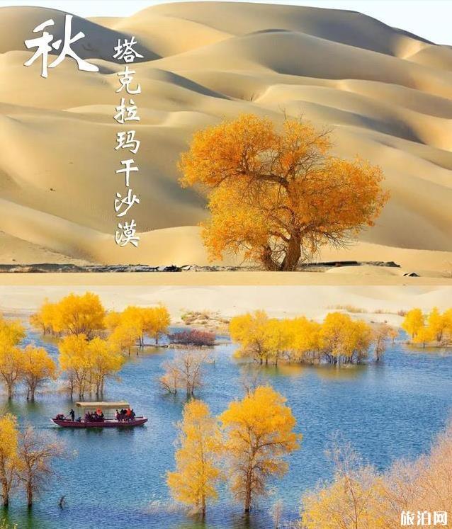 最适合秋天旅游的景点有哪些