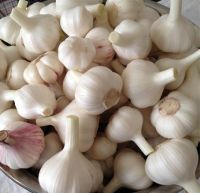 腌糖蒜的做法步骤1