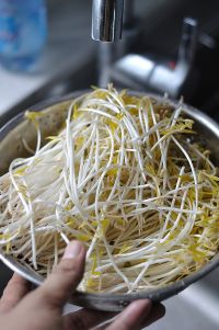 清炒绿豆芽的做法步骤2
