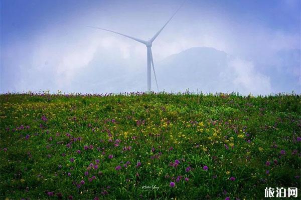 韭菜坪旅游景区免费游玩吗 自驾+停车收费+路况2019 韭菜坪旅游景区免费游玩吗 自驾+停车收费+路况2019