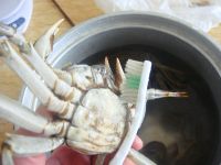 干锅香辣蟹的做法步骤5
