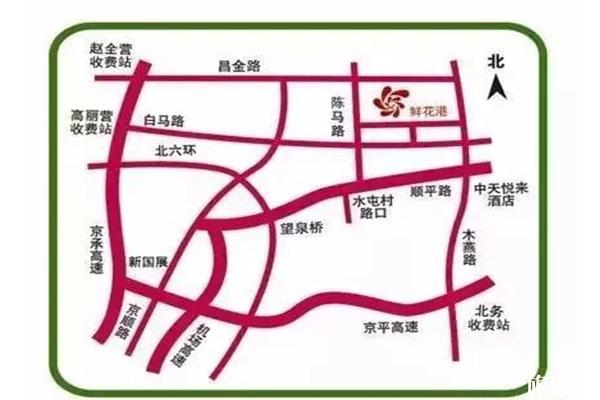 2019北京鲜花港菊花文化节 看点+交通+游玩指南