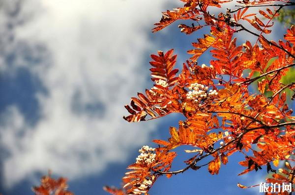 毕棚沟有什么特色体验