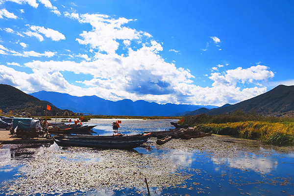 去洱海有必要去泸沽湖吗 去洱海有必要去泸沽湖吗