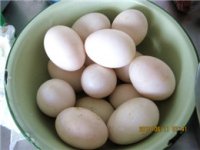 腌咸鸭蛋的做法步骤1