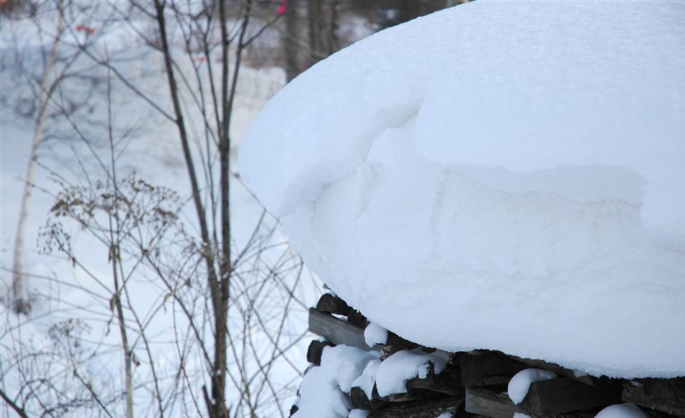 “积雪”是什么意思 一起看看吧 
