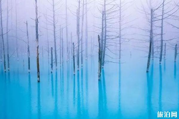 夏季日本旅游去哪好+旅游攻略