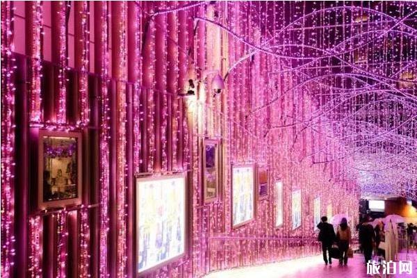 2019日本东京灯展时间+地点+介绍 2019日本东京灯展攻略整理