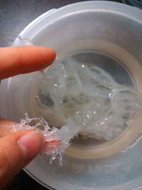 蔓越莓牛奶炖燕窝的做法步骤3