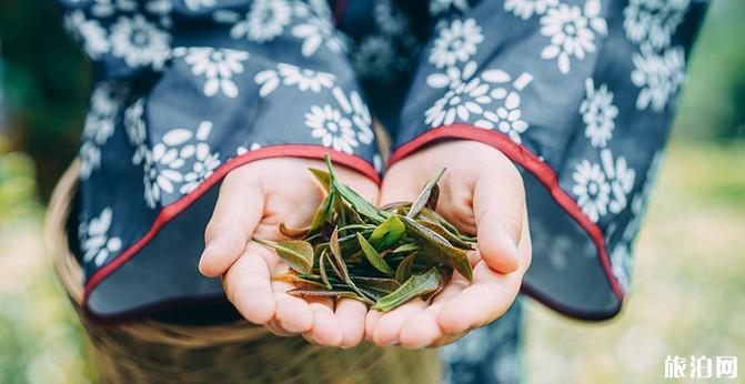 成都八月份旅游攻略