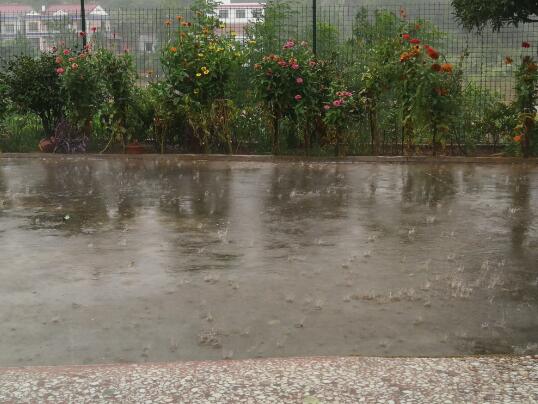 辽宁今日持续有强降雨 最大风力可达8到9级