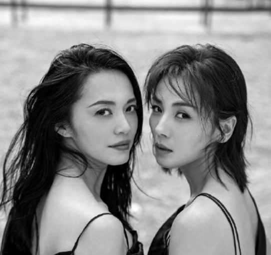 刘涛姚晨同框是怎么回事 商界最强大脑姐妹花罕见同框了