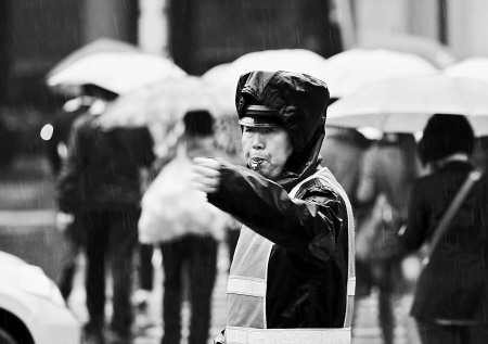 注意啦！浙江周末将遭湿冷“魔法攻击” 雨中气温骤降7-9℃