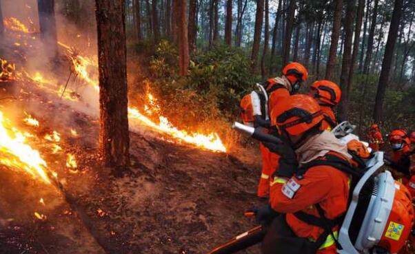 四川高森林火险红色预警 山火照亮黑夜消防队伍深夜增援