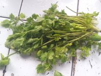 水煮泥鳅的做法步骤4