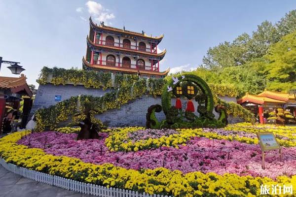 2019银川菊花展是什么时候+地点+介绍