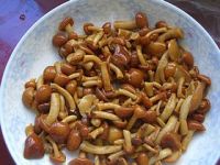滑子菇炖白菜的做法步骤1