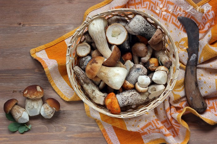 夏季养生饮食注意事项