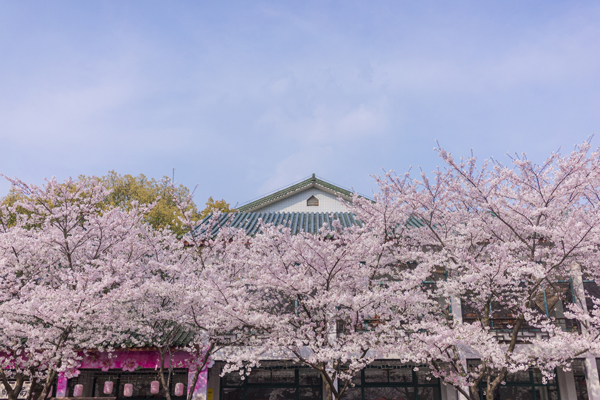 四月赏花的景点 四月赏花去哪里