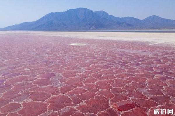 墨西哥粉红湖形成原因 墨西哥粉红湖攻略 墨西哥粉红湖形成原因 墨西哥粉红湖攻略