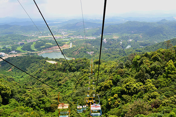 惠州看花的地方有哪些 惠州看花景点推荐