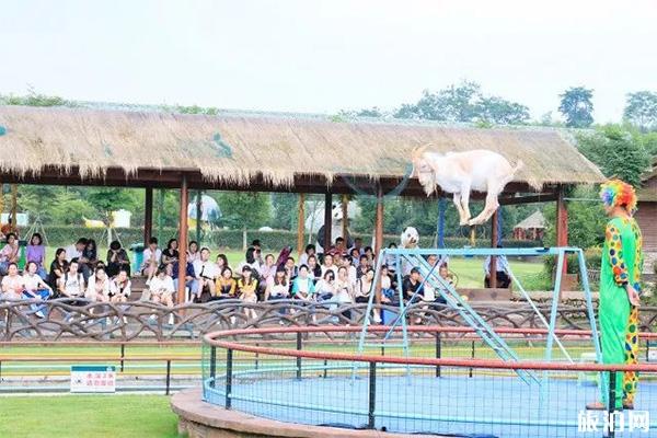 安吉田园嘉乐比乐园好玩吗 安吉田园嘉乐比乐园有什么项目 安吉田园嘉乐比乐园好玩吗 安吉田园嘉乐比乐园有什么项目