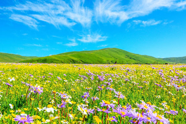 四川阿坝州旅游景点介绍 四川阿坝州必游景点