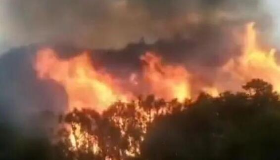 受森林火灾影响 西昌部分路段实行紧急交通管制