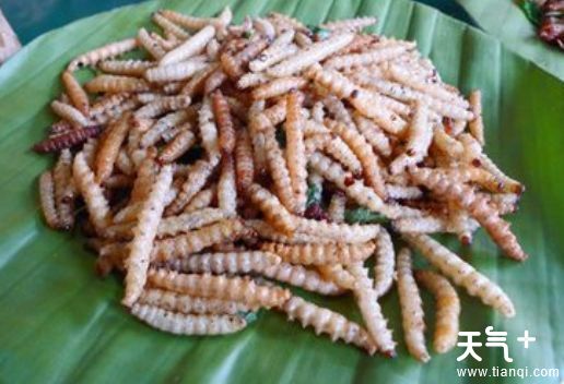 云南西双版纳景洪市知名特产   西双版纳特产推荐