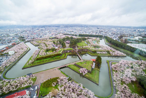 北海道的樱花几月开 2019北海道樱花花期
