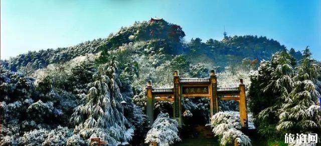 重庆巴南旅游避暑线路推荐 重庆巴南旅游避暑线路推荐