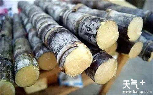 立秋之后适合吃什么水果？立秋之后常吃这4种水果