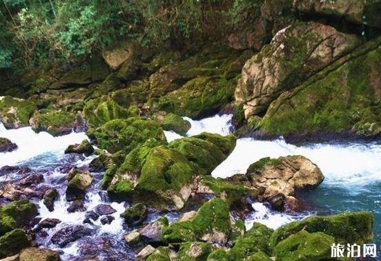 荔波旅游攻略景点必去有哪些