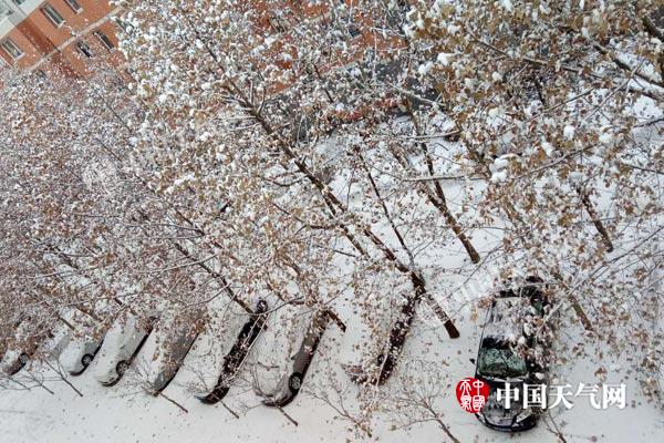 强冷空气携大风降温降雪席卷河北 保定大雪明晨降温剧烈