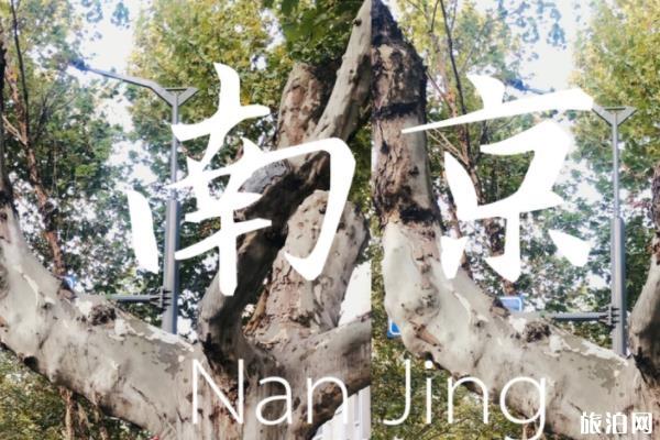 南京四日游详细攻略 南京四日游旅游攻略2020