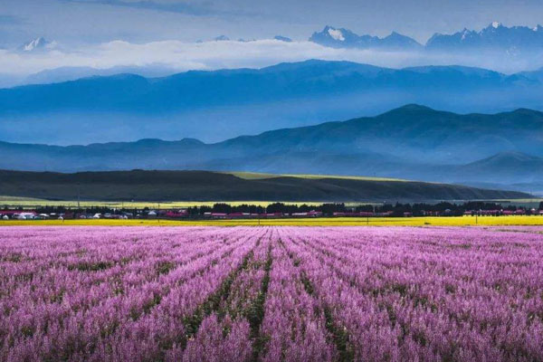 伊犁旅游攻略 新疆伊犁的旅游攻略