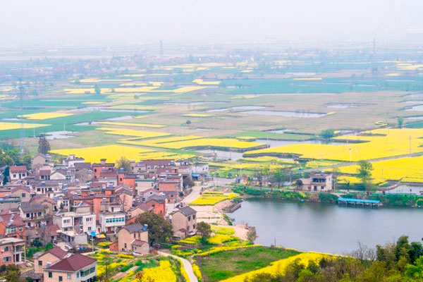 3月初去什么地方看花 春天去哪里看花