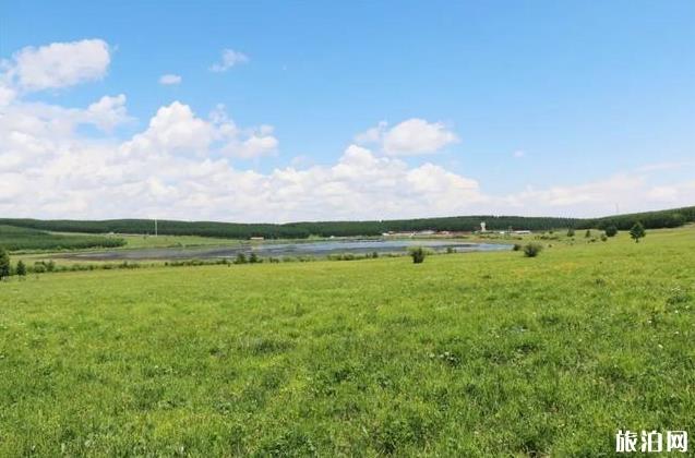 塞罕坝御道口自驾游旅游攻略