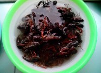 烧龙虾的做法步骤1